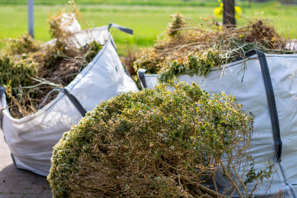 Best Shed Removal  in Hebbronville, TX